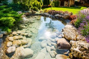 Was kann man aus einem alten Gartenteich machen?